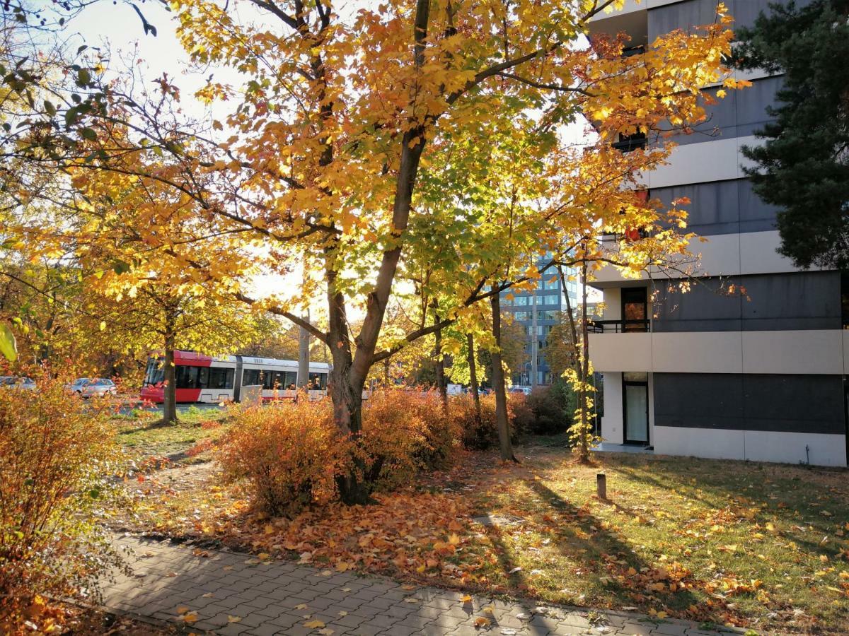 Central-Apt At Lake, Citycenter 5Min, Fair 18Min!!! Nürnberg Exteriör bild